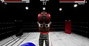 Boxing Simulator