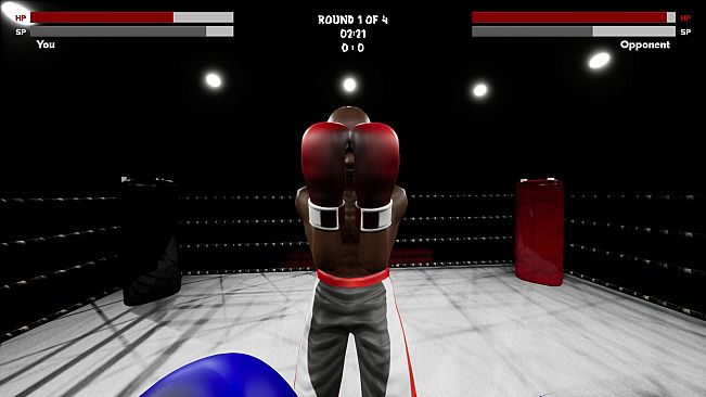 Boxing Simulator