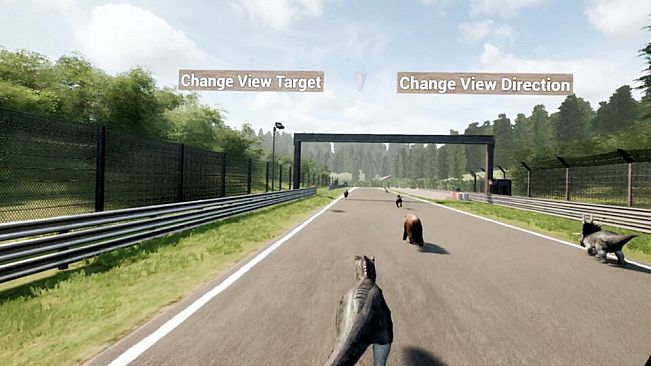 Animal Race Run VR
