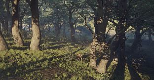 theHunter: Call of the Wild - Parque Fernando