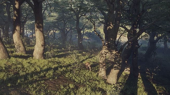 theHunter: Call of the Wild - Parque Fernando