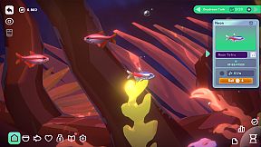 With Me: Aquatic Time