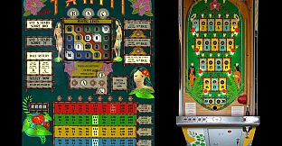 Bingo Pinball Gameroom - Bally Tahiti