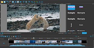 DIKDIK Video Converter