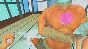 Fist of the Stray Dog