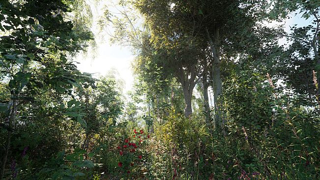 Russian Soul Simulator