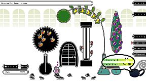 Forget Me Not: My Organic Garden