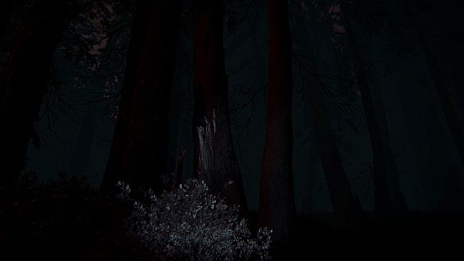 Shroud of the Woods