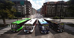 Bus Simulator 18 - Country Skin & Decal Pack