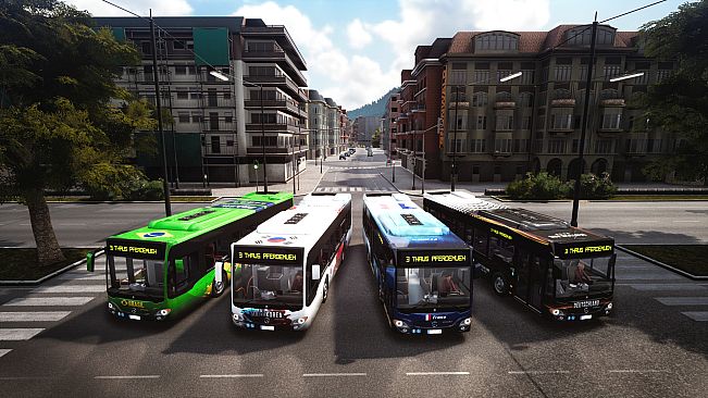 Bus Simulator 18 - Country Skin & Decal Pack