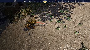 Empire of the Insects