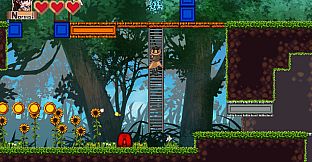 Noah and Black Magician