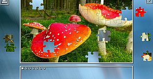 Super Jigsaw Puzzle: Generations - Mushrooms