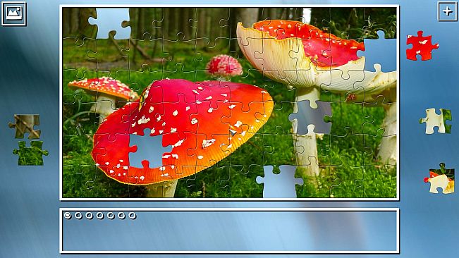 Super Jigsaw Puzzle: Generations - Mushrooms