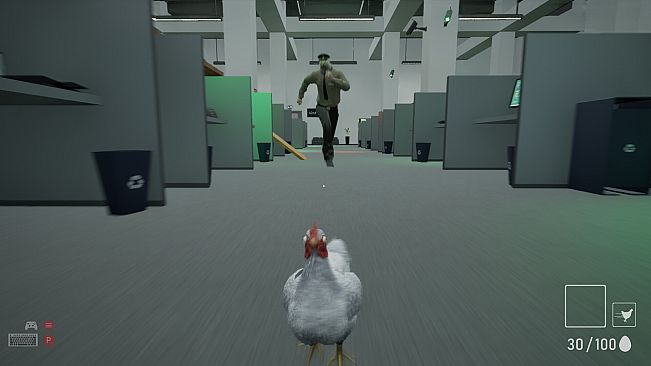 A Chicken In The Office