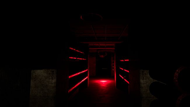 Backrooms Project: The lost file