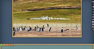 Jigsaw Puzzle Pack - Pixel Puzzles Ultimate: PP2 Birds