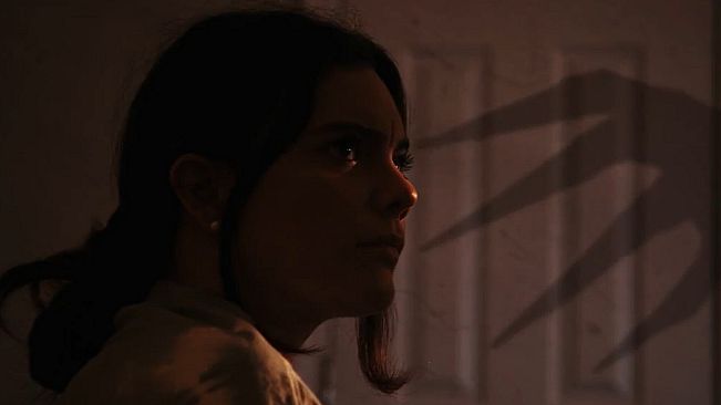 Movavi Video Suite 2025 Steam Edition - Creepy Shadows Overlay Pack