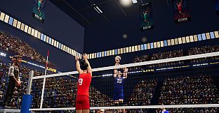 Volleyball Mania