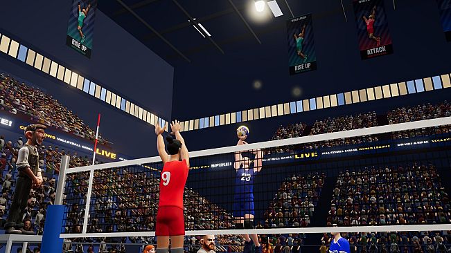 Volleyball Mania