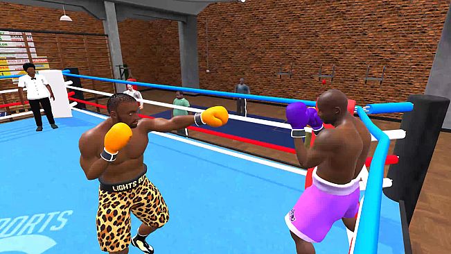 Pro Sports Boxing