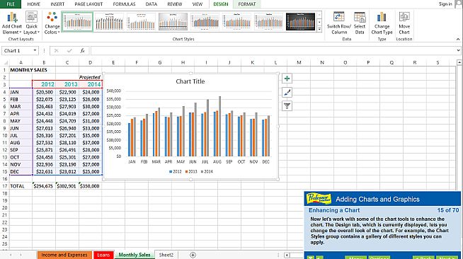 Professor Teaches Excel 2013 & 365