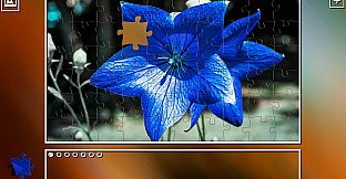 Super Jigsaw Puzzle: Generations - Flowers Puzzles
