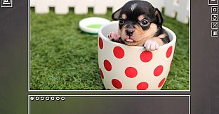 Super Jigsaw Puzzle: Generations - Puppies Puzzles