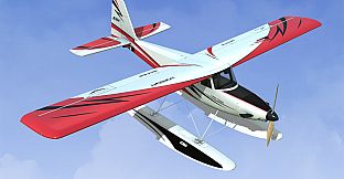 RealFlight Evolution - 2024 Year Content Pass