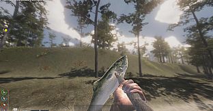 The Seekers: Survival