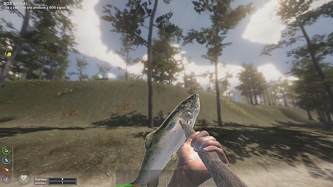 The Seekers: Survival