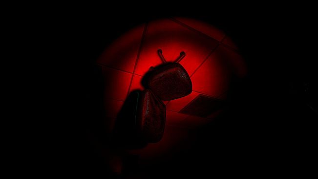 Backrooms: The Phobolore