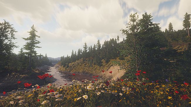 Dinosaur Fossil Hunter