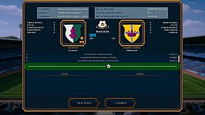 Director Manager Total