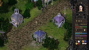 Desires of the Amazons