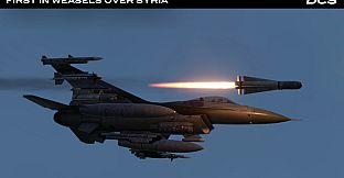 DCS: F-16C First in Weasels Over Syria Campaign by Ground Pounder Sims
