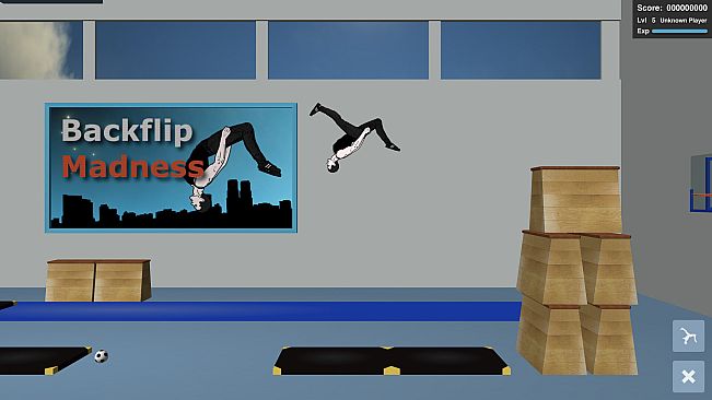 Backflip Madness