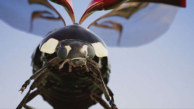 Insects: An Xbox One X Enhanced Experience
