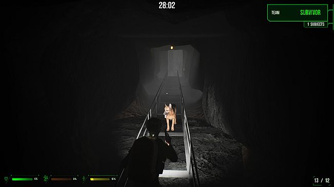 Project Microchip - Dog Companion Pack
