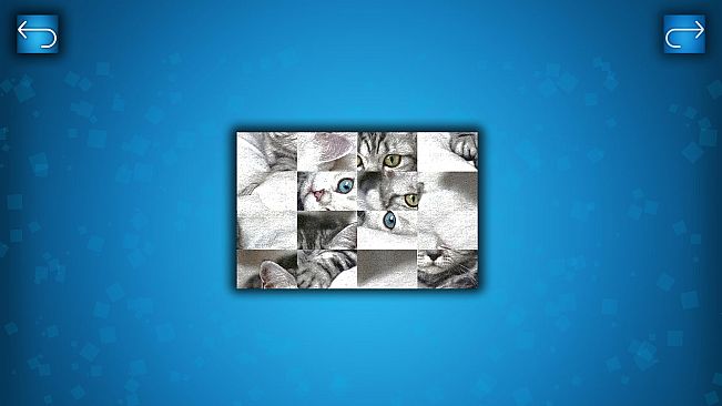 PUZZLE: CATS & DOGS