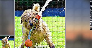 Pixel Puzzles Illustrations & Anime - Jigsaw Pack: Little Dogs