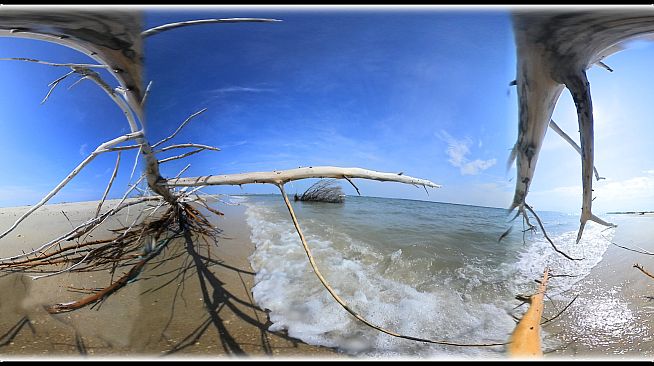 Exhale XR - I Am Alive - Spoken Word