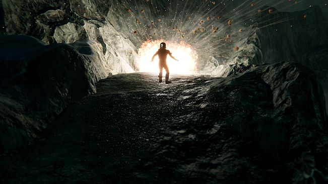 The Pioneers: Surviving Desolation