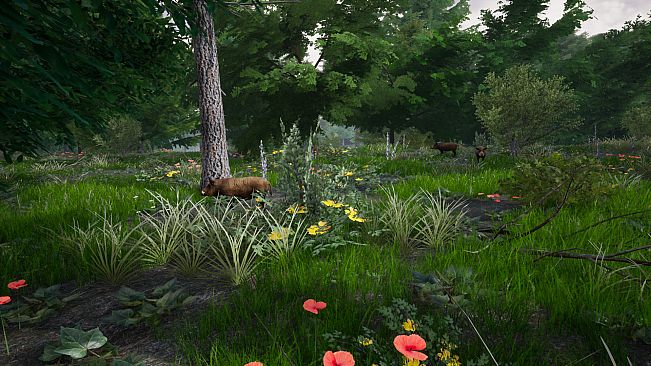 Horse Riding Deluxe 2