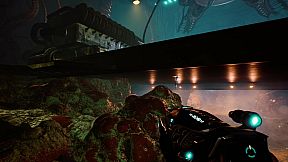 Delusion Out of Space