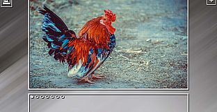 Super Jigsaw Puzzle: Generations - Random Animals Puzzles