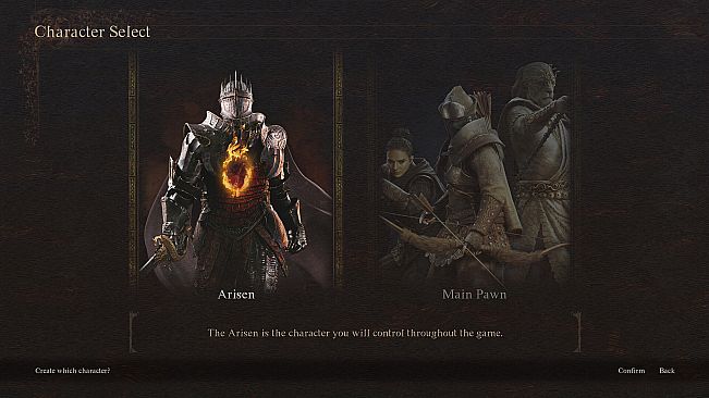 Dragon's Dogma 2 Character Creator & Storage