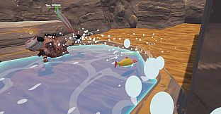 Salmon Jump