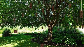 Forgotten Forest: Eye of the Great One