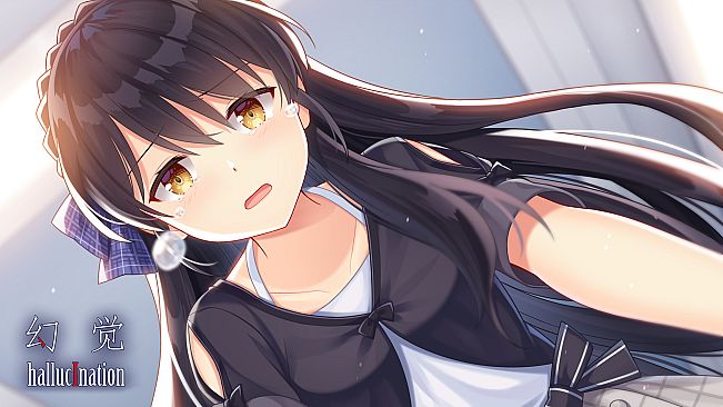 hallucination - 幻觉